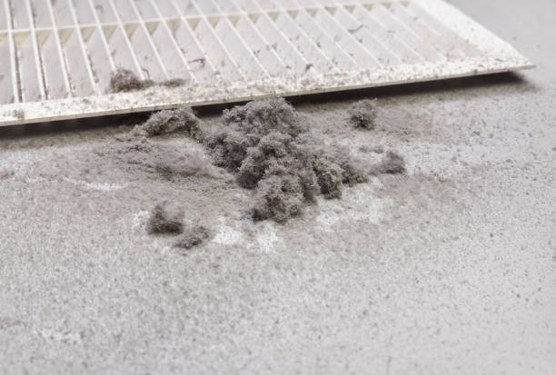 Best Air Duct Cleaning Near Me  in North Muskegon, MI